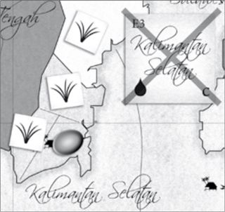 Kalimantan Selatan example